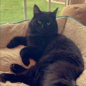 Meet your Posher, Yulisa